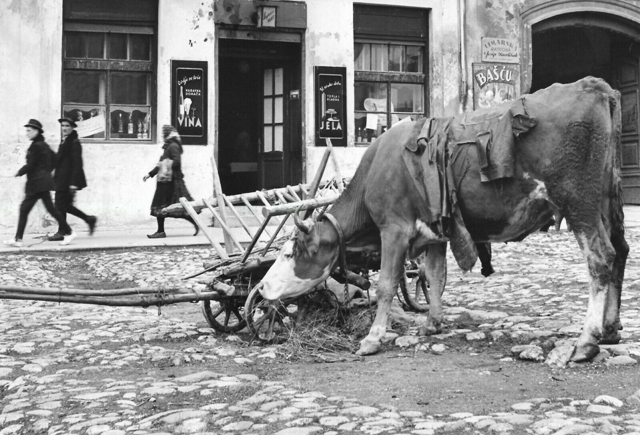 Restauracija 'Kaptolska klet', Bakačeva 1953. godine